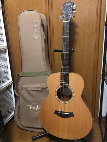 Taylor mini koa - gs, (core)