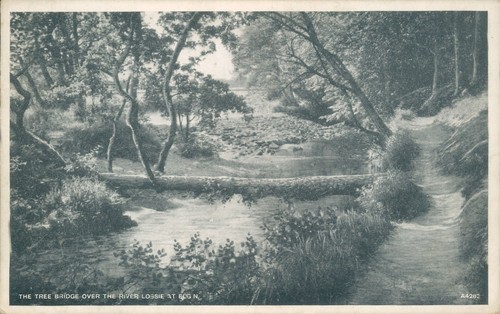 Elgin tree bridge over - , the
