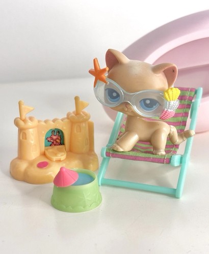 228 shorthair cat with - shorthair,