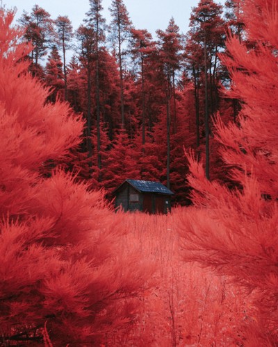 Infrared filter aerochrome - infrared,