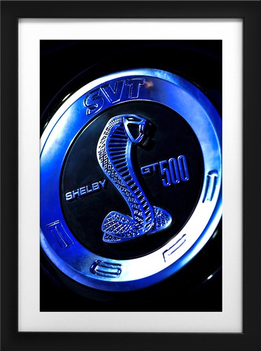 2013 ford mustang shelby gt500 - shelby,