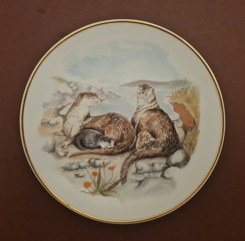 Wildlife britain otters by - of,
