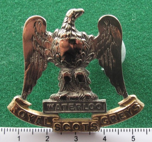Royal scots greys officers - scots,