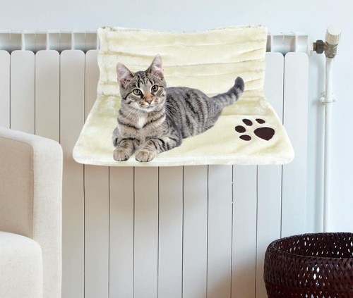 Cat kitten pet animal hanging - cat,