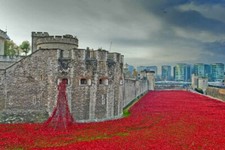 Tower of London Poppy Poppies Blood Swept Lands And Seas Of Red UK Photograph