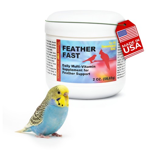 Morning bird feather fast for - bird,