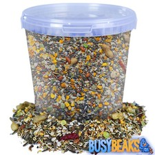 BusyBeaks African Grey Parrot Food - High Energy Bird Nut Seed Oat Feed Tub Mix