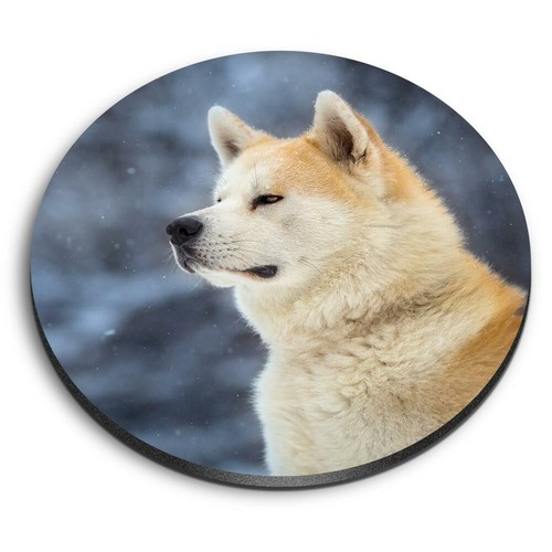 Round mdf magnets akita - -,