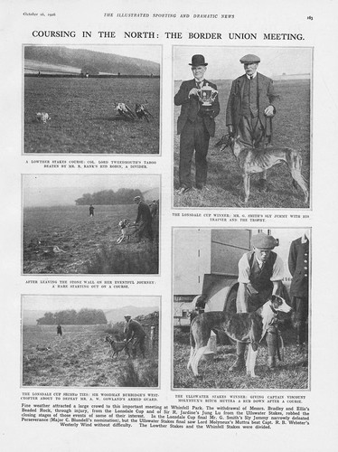 Hare coursing border union - coursing,