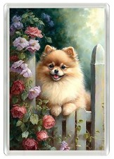 POMERANIAN DOG FRIDGE MAGNET