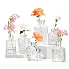 Der Rose 6 Pack Glass Bud Vase
