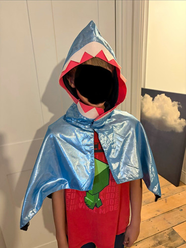 Kids shark hooded - kids,