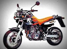 A4 photo MZ Mastiff 1