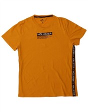 HOLLISTER Mens Graphic T-Shirt