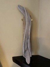 Driftwood Wall sculpture