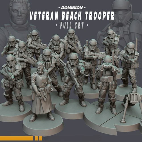 Veteran beach troopers - beach,