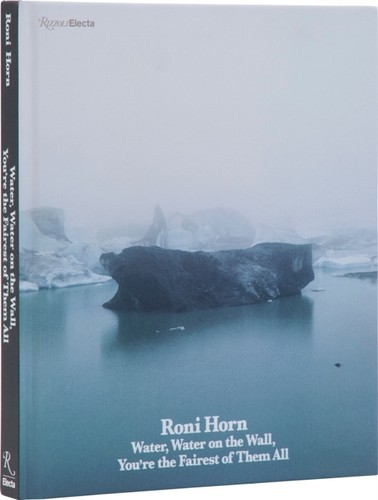 Roni horn - roni,