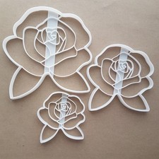 Rose Flower Garden Leaf Shape
