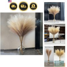 38" 10 Stems Faux Pampas Grass
