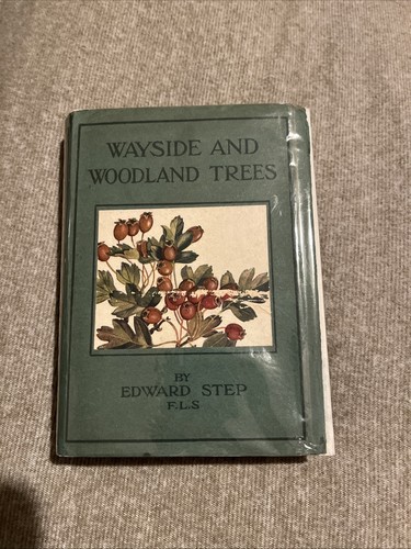 Wayside and woodland trees - trees, by