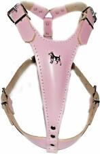 Beautiful Baby Pink Leather