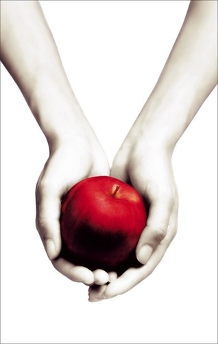Twilight free - twilight,
