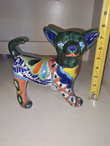 Colorful chihuahua puppy dog - colorful,
