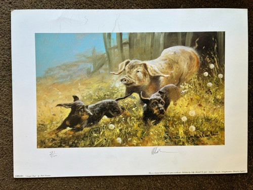 Mick cawston signed limited - mick,