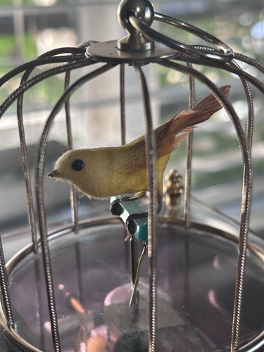 Old and vintage - and, cage