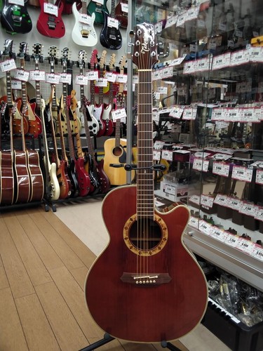 Takamine 508 acoustic - takamine, pt-508
