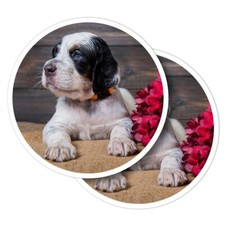 2x Vinyl Stickers Blue Eye