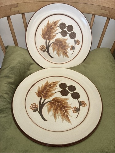 Denby cotswold 2 dinner - denby,