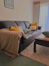 Brown Leather Sofa 3-Seater