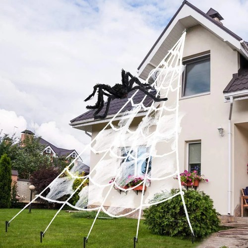 Huge spider web - &, outdoor