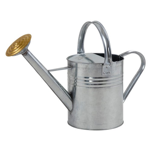 Ambassador galvanised watering - ambassador,