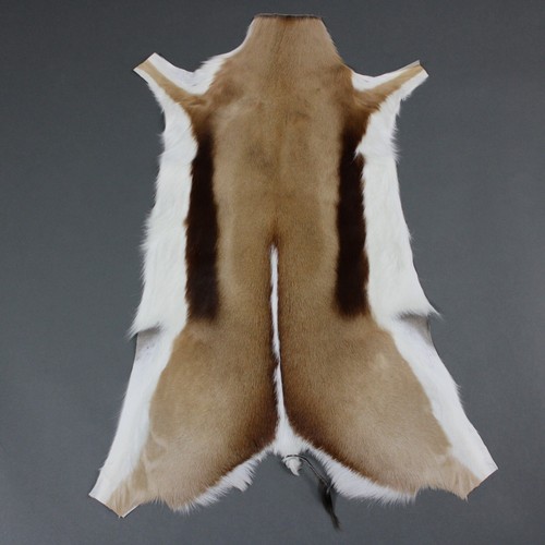 New genuine natural springbok - new,