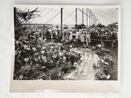 Chelsea flower show 1972 - chelsea,