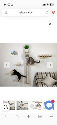Rsh pets wall mounted - rsh, cat