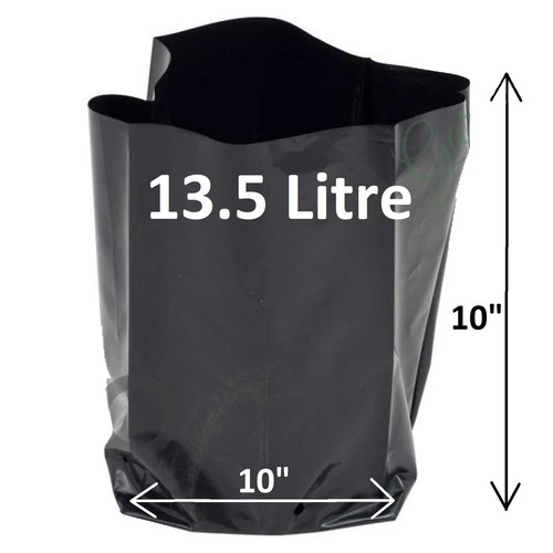 Litre poly plant - 13.5,