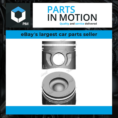 Piston 148107 nural - piston, 87-148107-80