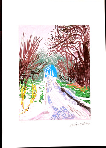 David hockney the arrival - david,
