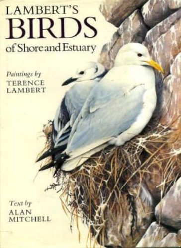 Birds shore and - birds,