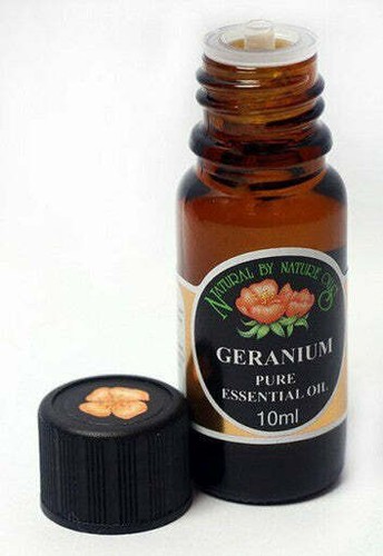 Organic geranium pelargonium - organic, (pelargonium