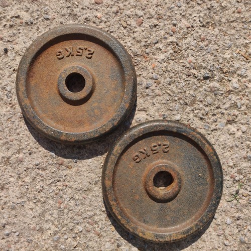 5kg weight plates cheap - x2,