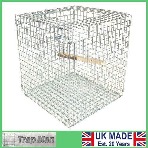 Larsen mate magpie cage trap - mate,