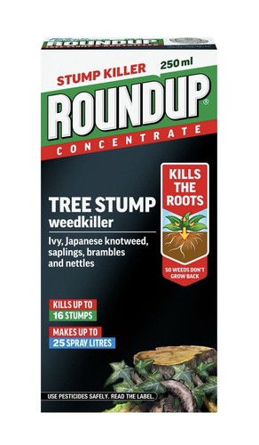 Roundup tree stump root - root, killer