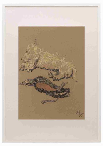 Aldin cecil mac 1912 exhausted - aldin,