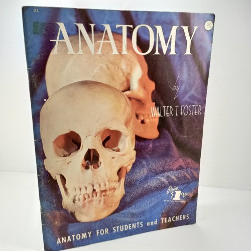 Walter foster anatomy - t,