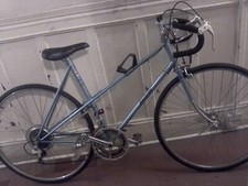 raleigh winners vintage
