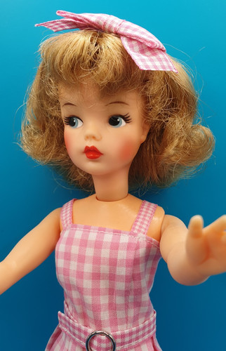 Vintage 1960 ideal tammy - vintage,